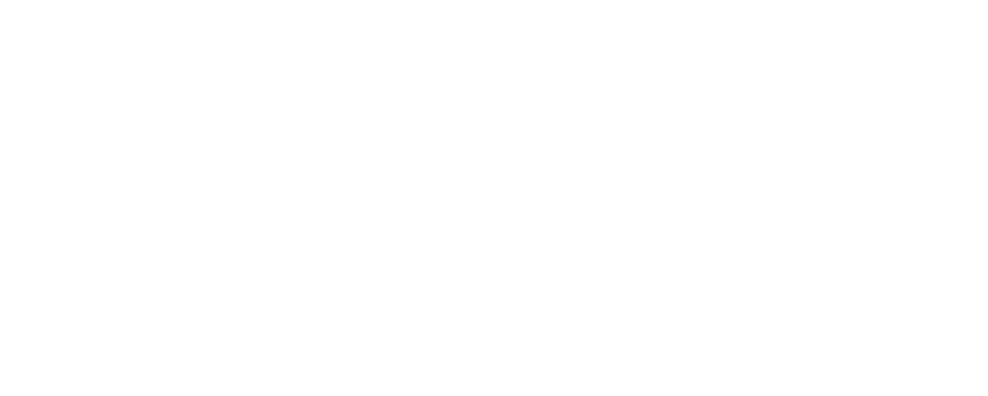 First Investors Financial Services